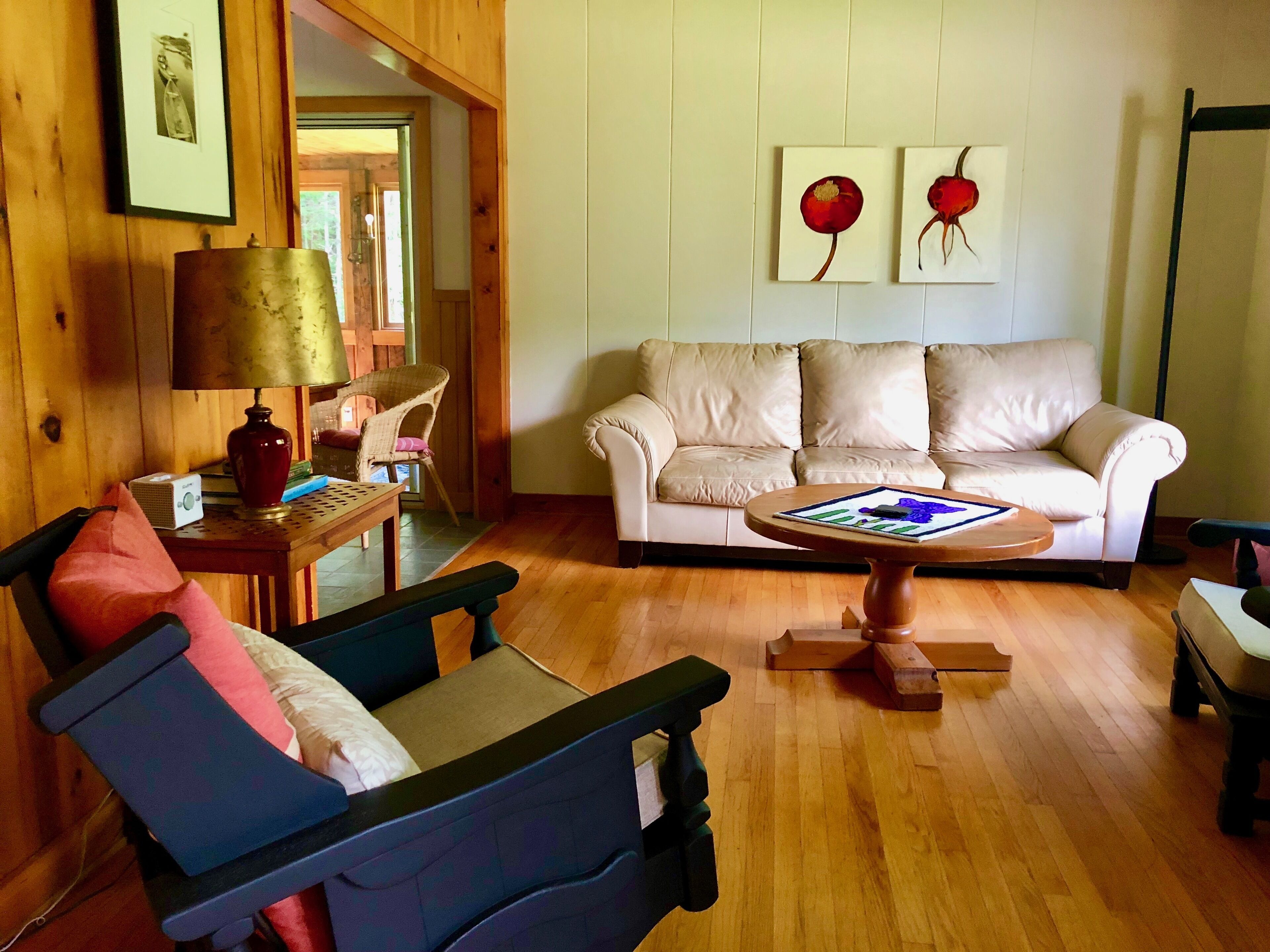 电视、DVD 播放器、书、立体声音响