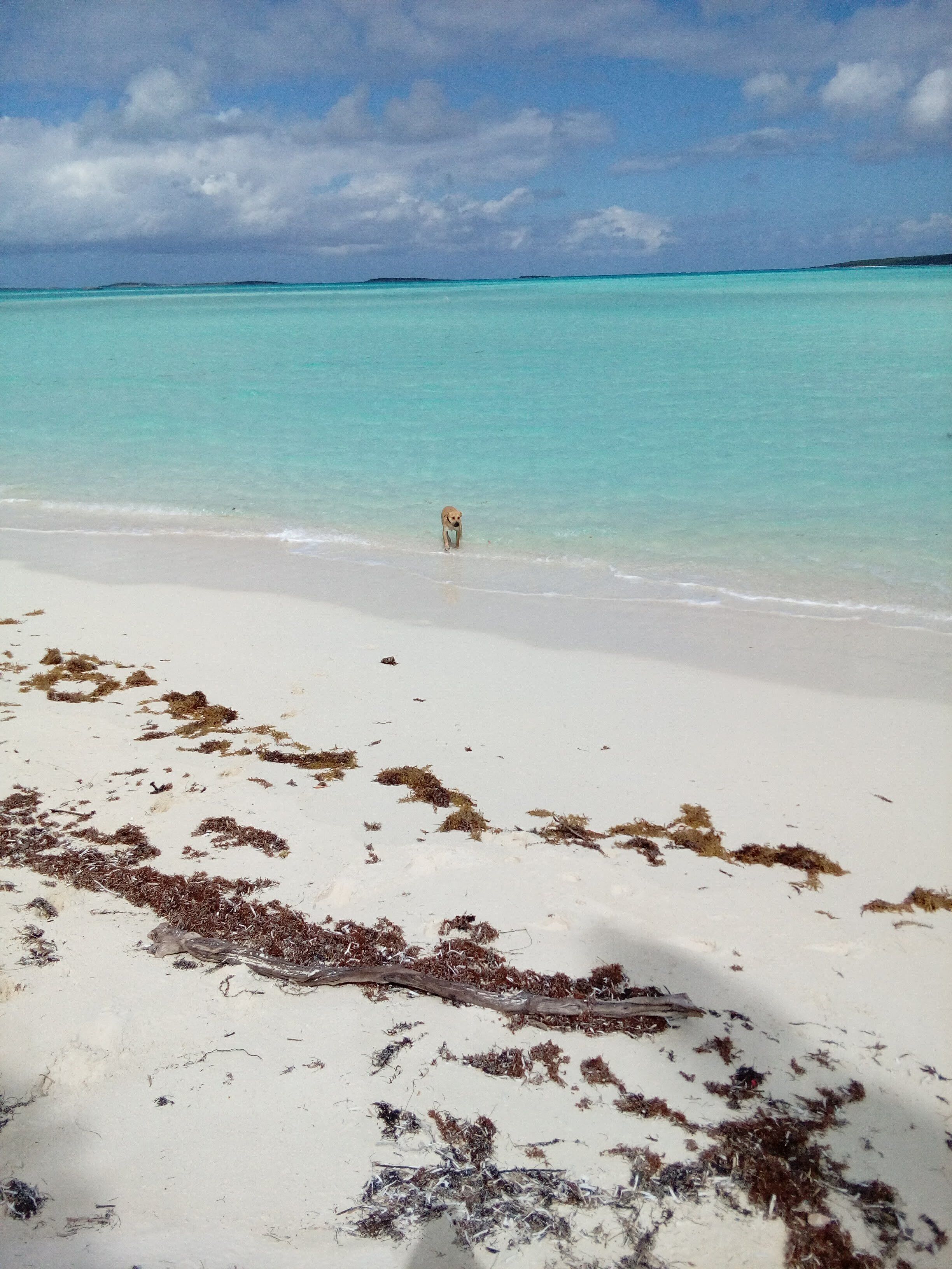 Una playa con agua turquesa cristalina y arena blanca.