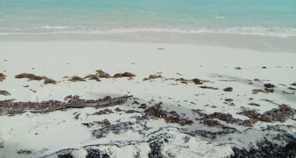 El secreto mejor guardado de Exuma