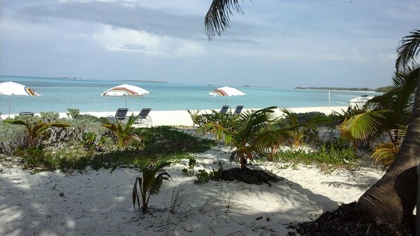 A beach with white sand, palm trees, and a view of the ocean. There are lounge chairs and umbrellas.