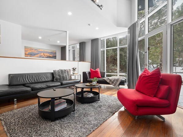 Smart TV, fireplace, books