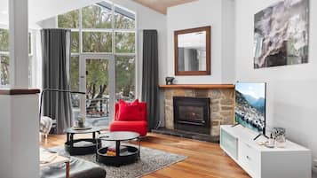 Smart TV, fireplace, books