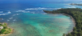 Turtle Bay Luxury 2 Bedroom. Étage supérieur avec améliorations. 90 / TVU-0512