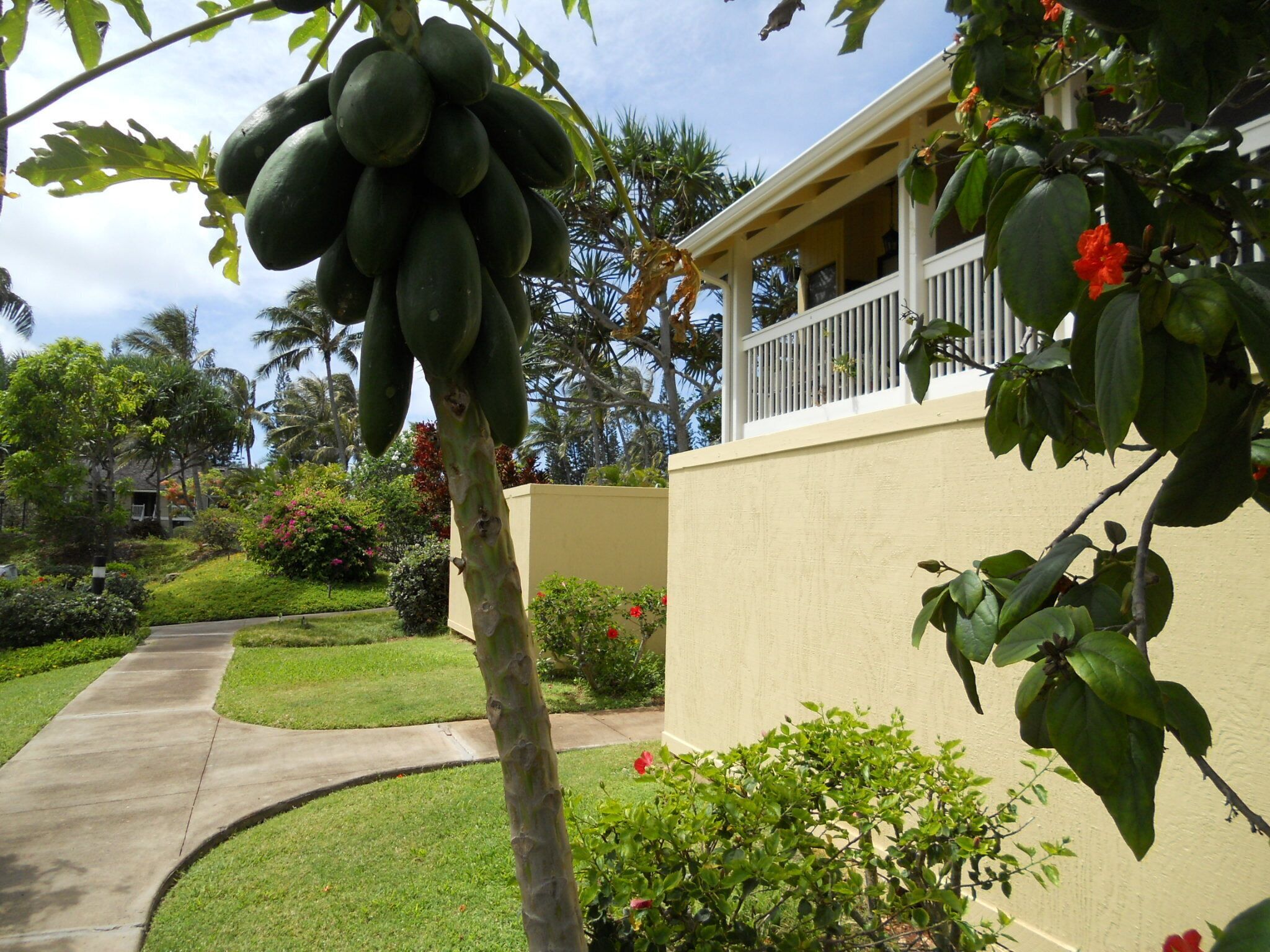 Turtle Bay Luxury 2 Bedroom. Upper Floor with Upgrades.   90\/TVU-0512 - Photo 12