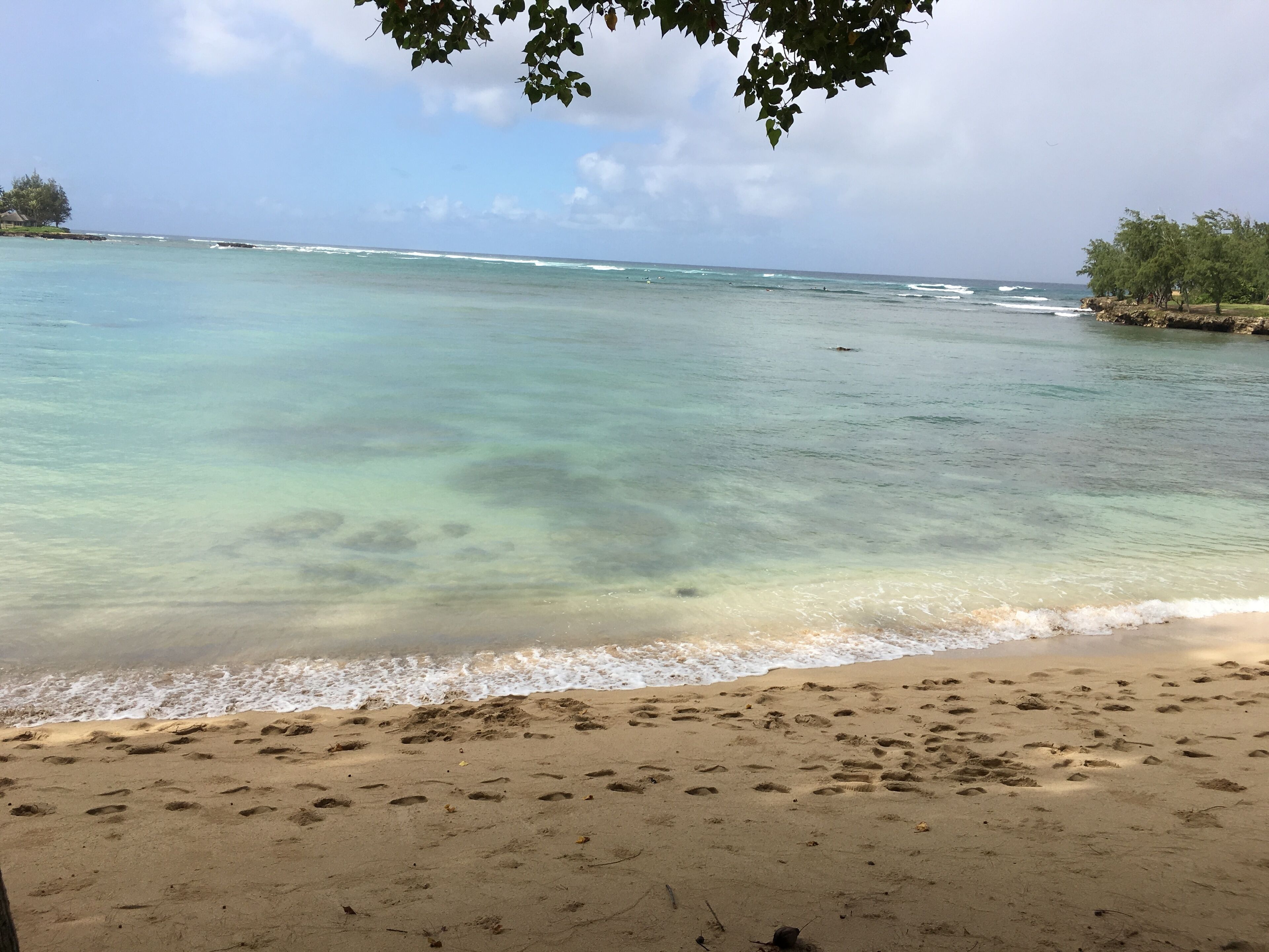 Turtle Bay Luxury 2 Bedroom. Upper Floor with Upgrades.   90\/TVU-0512 - Photo 18