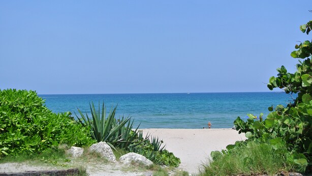 A beach with clear blue water, a sandy path leading to the sea, and lush greenery. - Beach House East of A1A, Private Hot Tub, Outdoor Oasis (Boynton Beach)