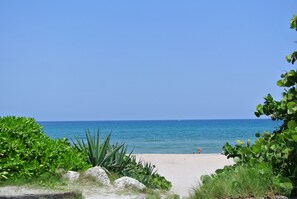 Une plage à l’eau d’un bleu cristallin, un sentier sablonneux menant à la mer et une végétation luxuriante.