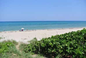 Ubicación a pie de playa, tumbonas y toallas de playa