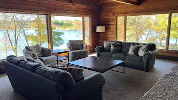 TV connectée, cheminée, lecteur de DVD, livres
