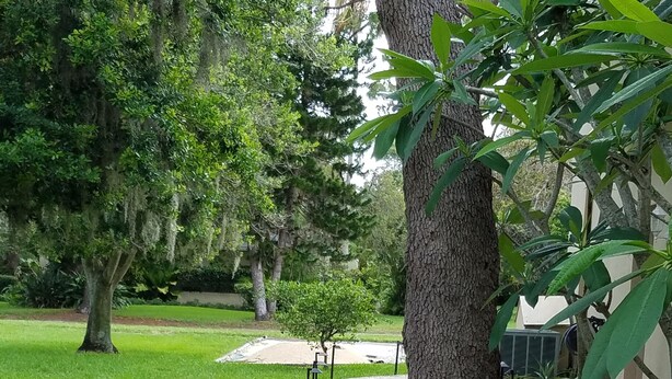 Un chemin pavé, bordé de plantes en pot et de poteaux en métal noir, traverse une zone verdoyante et luxuriante, avec des arbres et un bâtiment en arrière-plan.