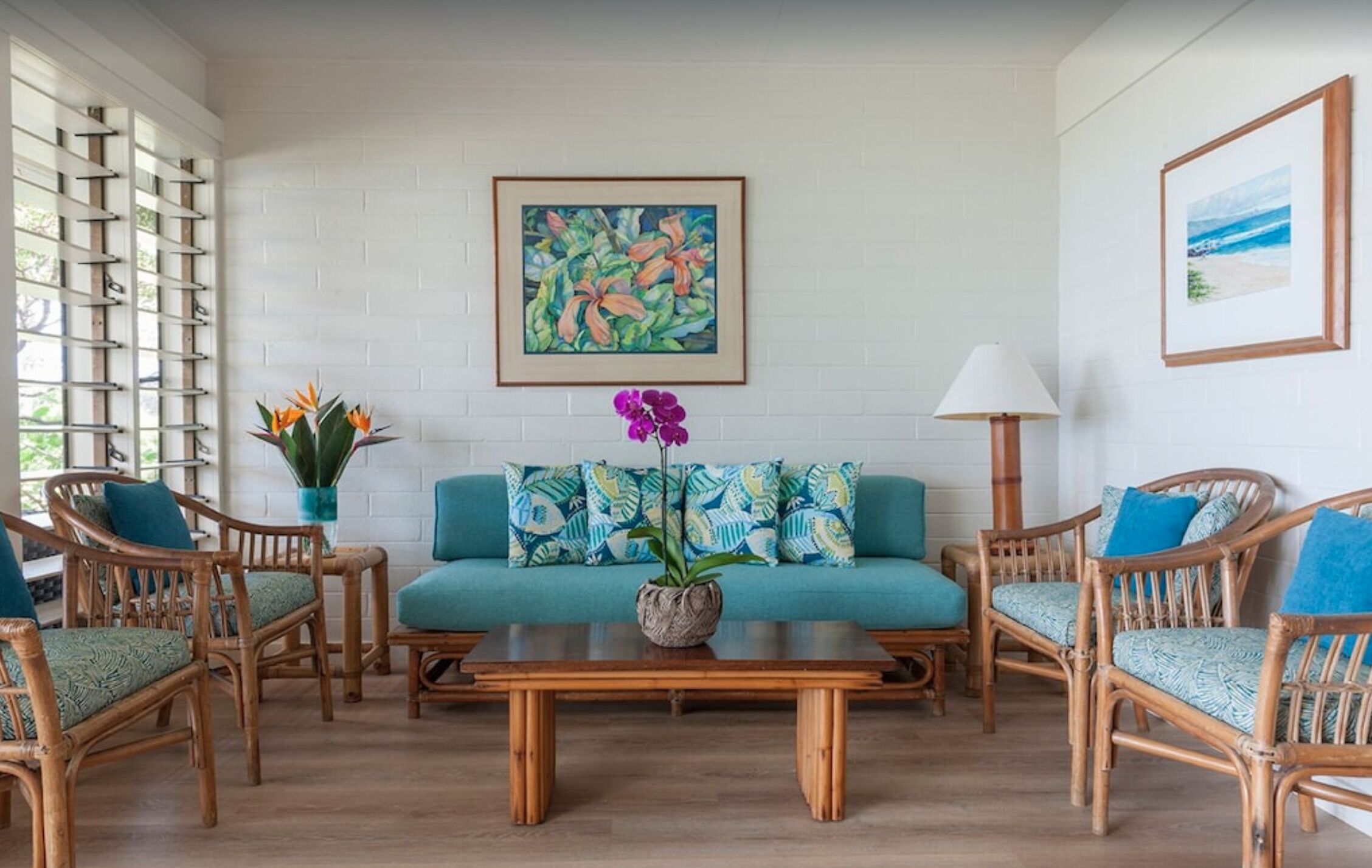 TV, DVD player, video library, stereo