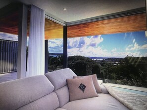 Smart TV, Netflix, books, streaming services