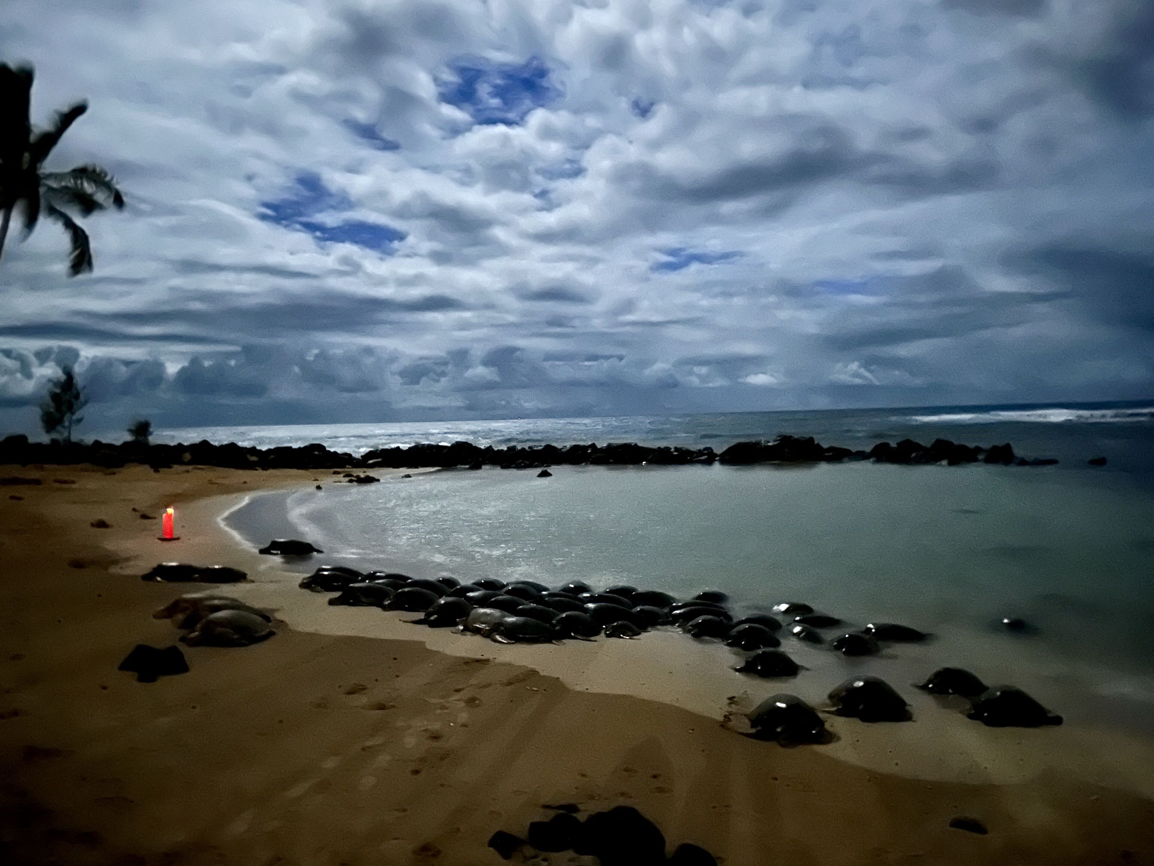 Beach nearby, sun loungers, beach umbrellas, beach towels