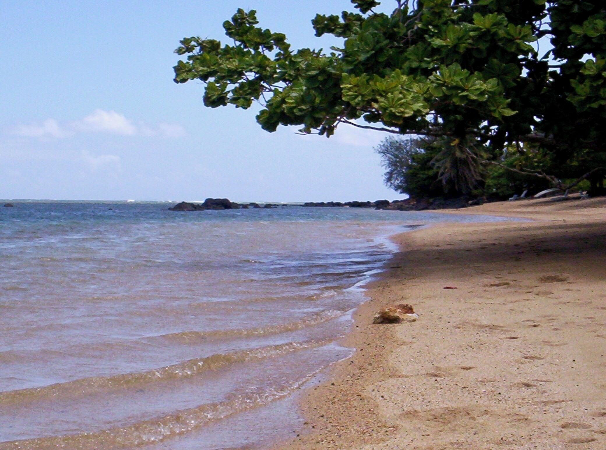 Affordable Luxury in tranquil setting. Walk to beaches, pool, tennis & dining.  - Photo 23