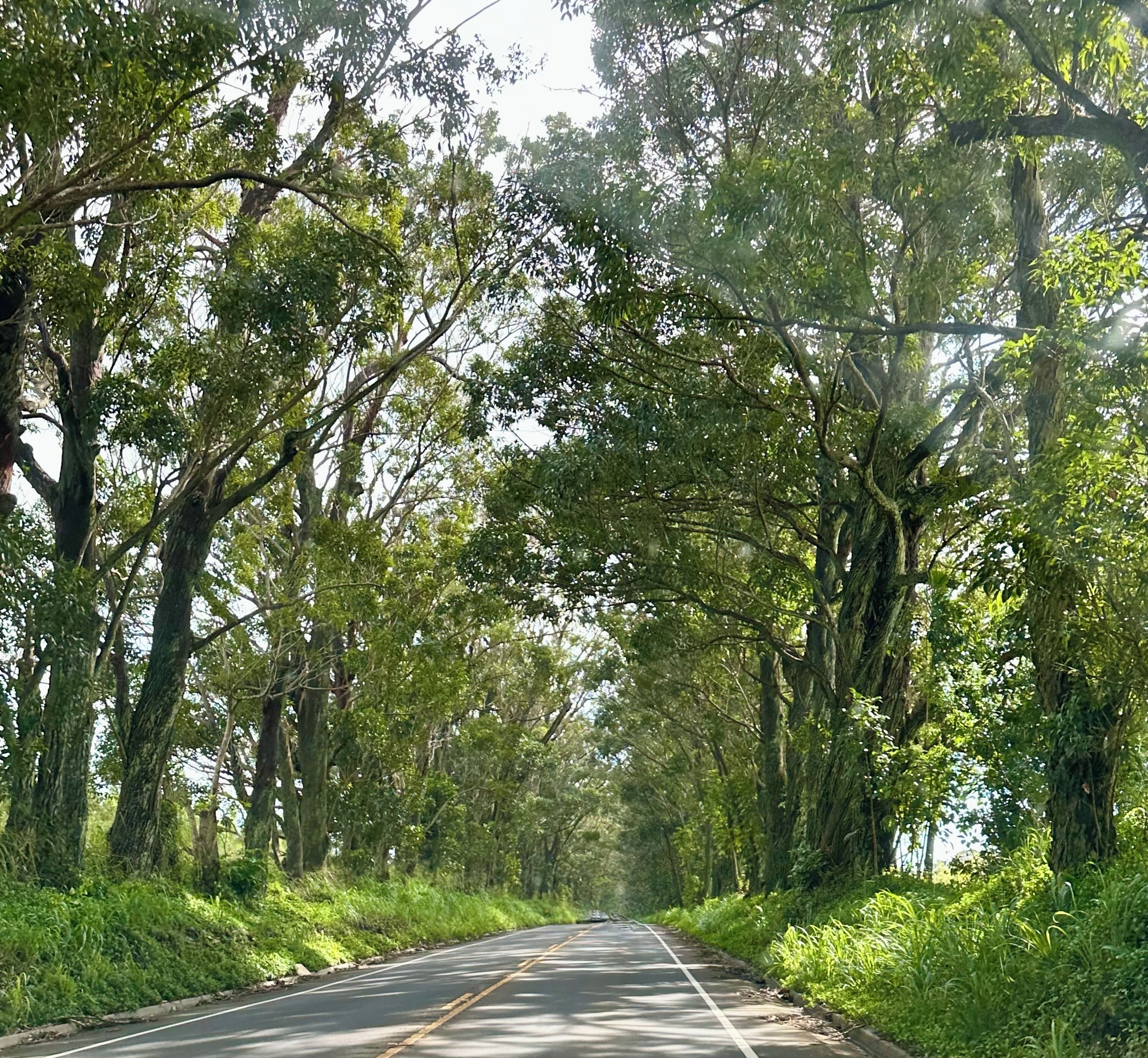 Affordable Luxury in tranquil setting. Walk to beaches, pool, tennis & dining.  - Photo 30