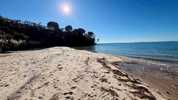Une plage parsemée d’empreintes, un ciel dégagé et des arbres en arrière-plan.