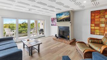 Smart TV, chimenea y reproductor de DVD