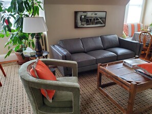 Smart TV, fireplace, books, video library