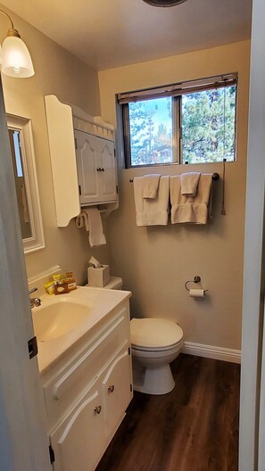 Duschwanne, Haartrockner, Handtücher, Seife