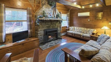 TV, fireplace, books, video library