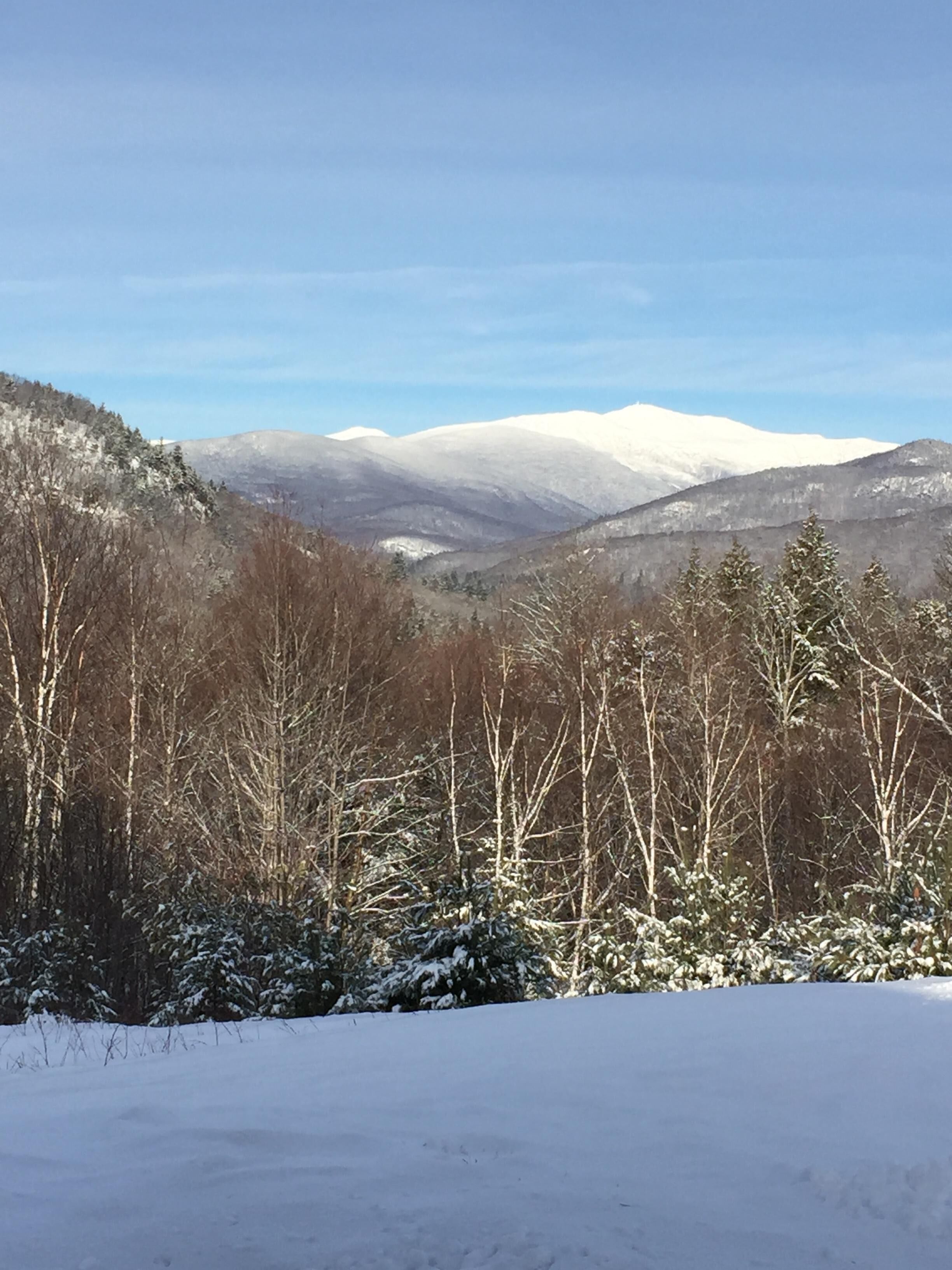 Best view of Mt. Washington. 1 mile to Storyland! Near Attitash&Cranmore. Hiking