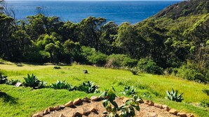 A lush green landscape with a view of the ocean and hills.