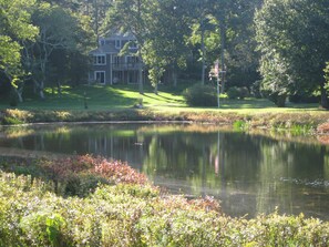 Terrain de l’hébergement 