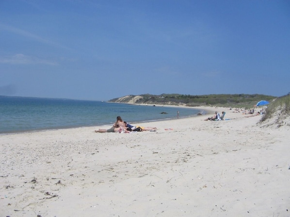 Guests can relax on the sandy shore, enjoying the calm sea and clear sky.