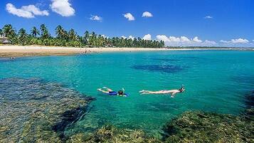 Playa en los alrededores 