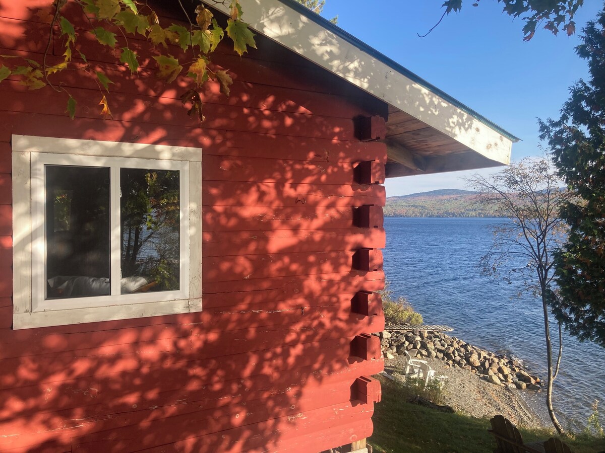 Värdens profilbild