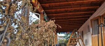 Large Picture Windows for Viewing Mountains and wildlife