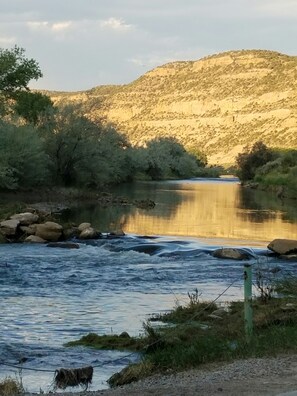 Chaises longues, serviettes de plage