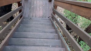 A wooden staircase leading up to a platform, surrounded by trees and greenery.