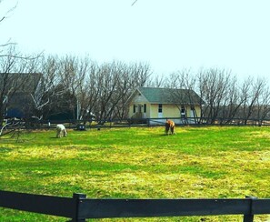 Property grounds - Romantic Bed And Breakfast Cottage. (Muskego)