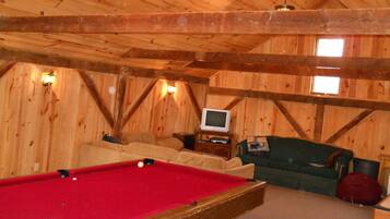 TV, fireplace, video games, DVD player