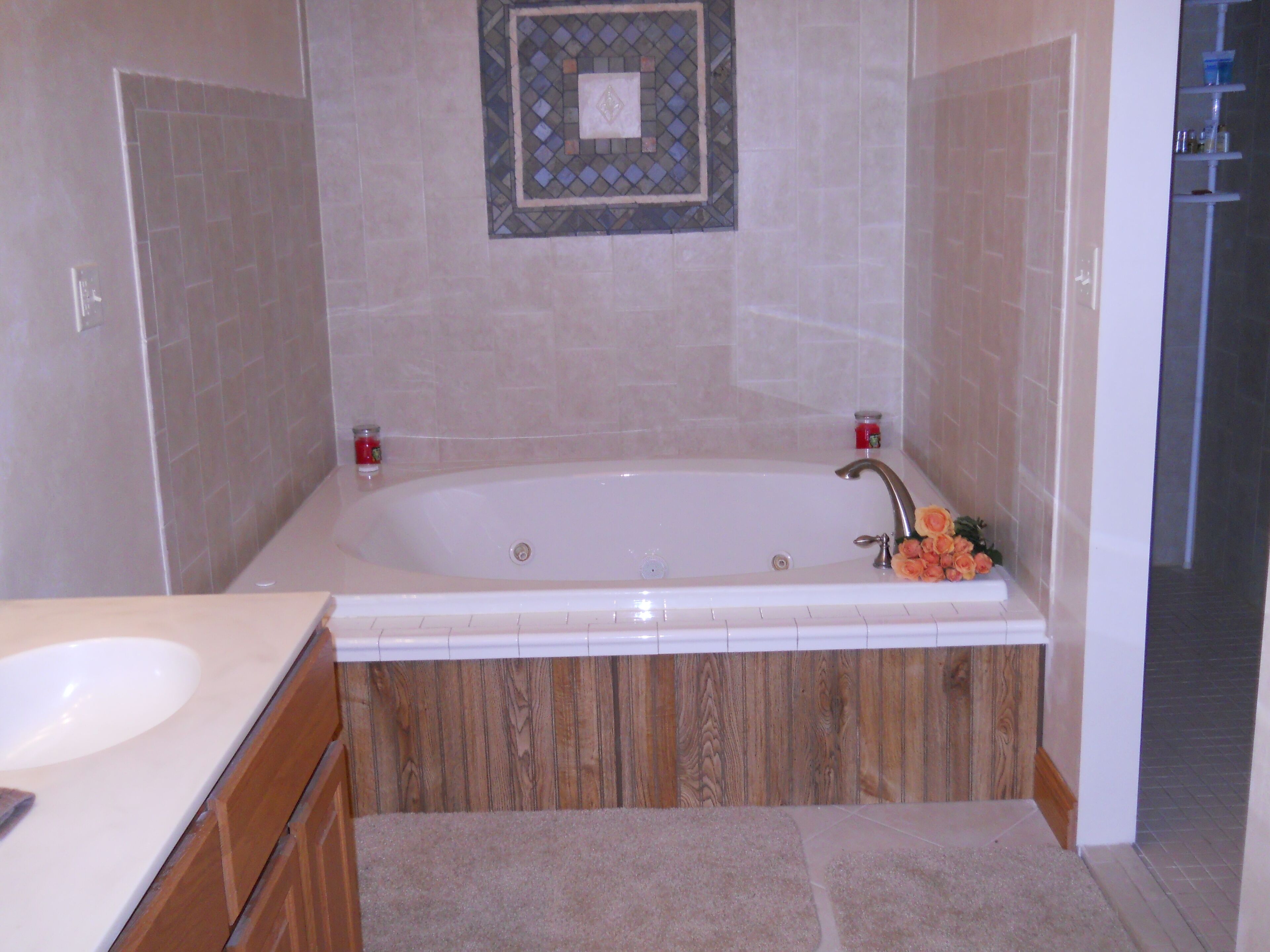 Shower, jetted tub, hair dryer, towels