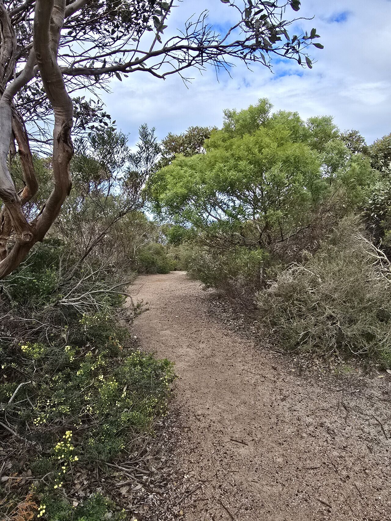 Bush Walking Trails that take you along the beautiful beaches of Esperance