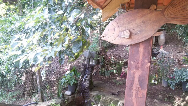 Um lago de carpas com uma escultura de peixe em madeira, cercado por vegetação e uma estrutura de madeira.