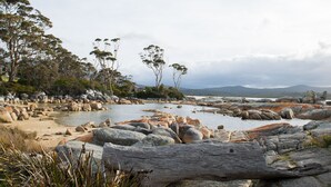 Un paisaje costero con grandes rocas, una playa de arena y árboles de eucalipto.