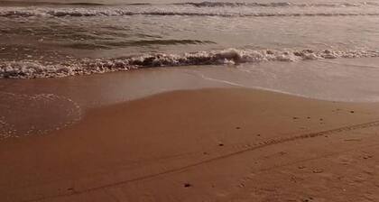 House 50 meters from the sand of Praia dos Ingleses or 5 minutes on foot.