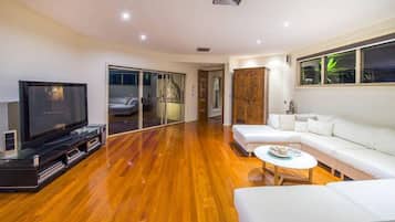 Flat-screen TV, fireplace, video game console, Netflix