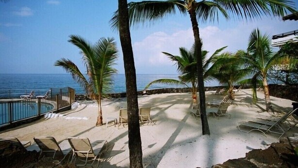 Un espace piscine situé au bord de la plage, avec des chaises longues et des palmiers.
