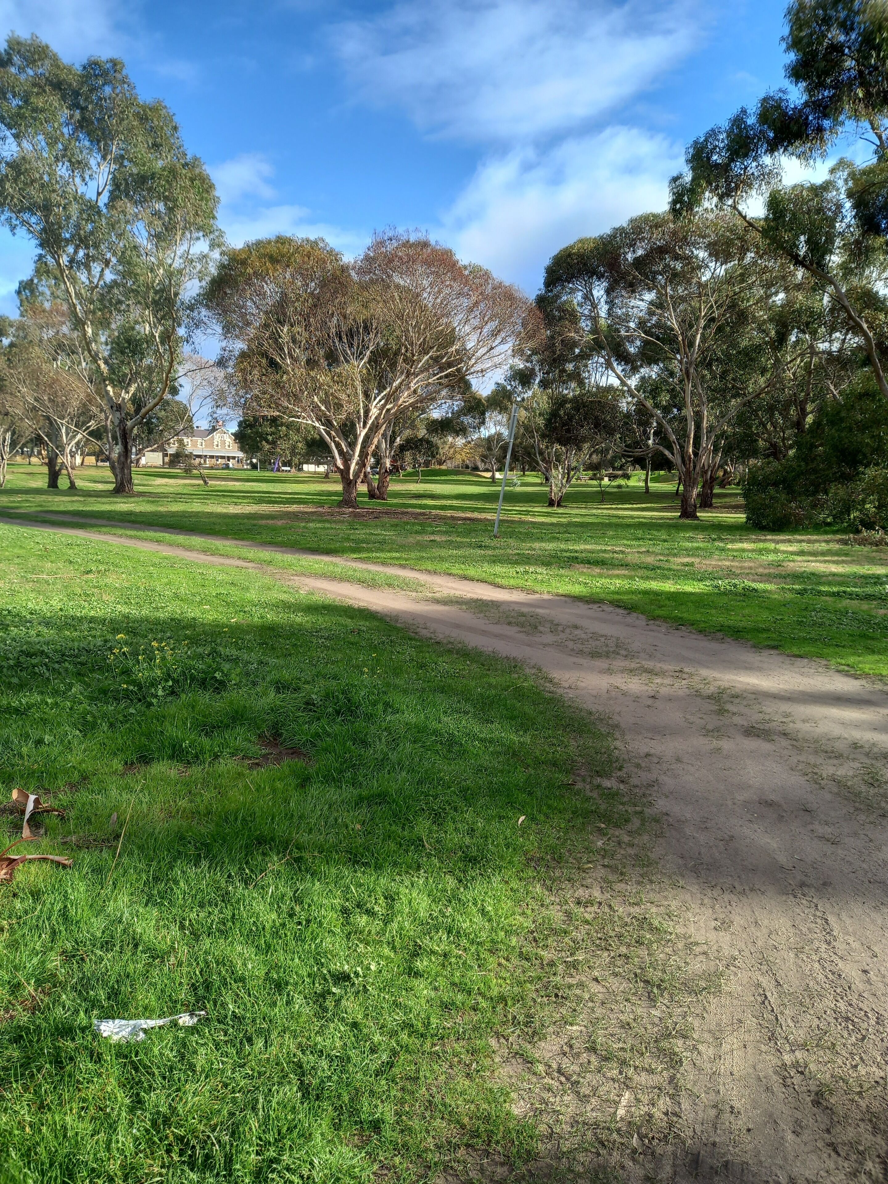 Ein Park mit einem Feldweg, grünem Gras und Bäumen.