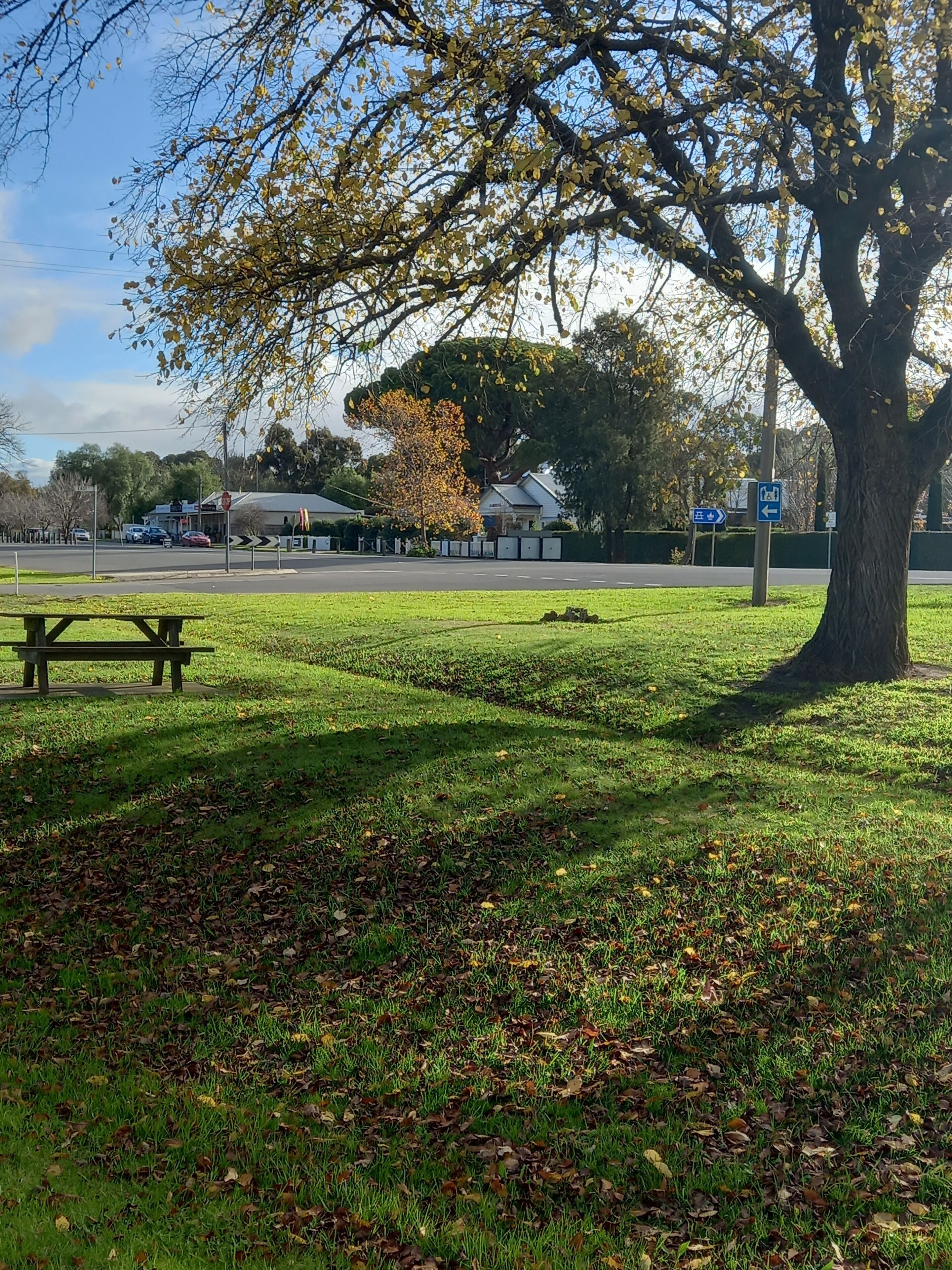 Een park met een picknicktafel, een grote boom en een weg met stopbord en richtingaanwijzingen.