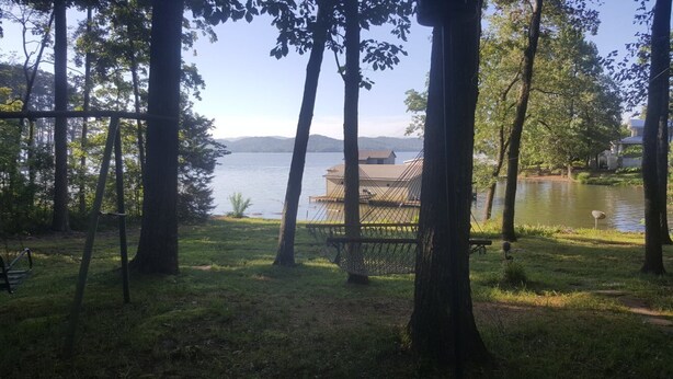 A lakeside view with a hammock, a wooden deck, and a bird on the water. - Rustic Mountain Lakefront Cottage  (Scottsboro)