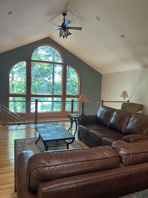 Smart TV, fireplace, DVD player, video library
