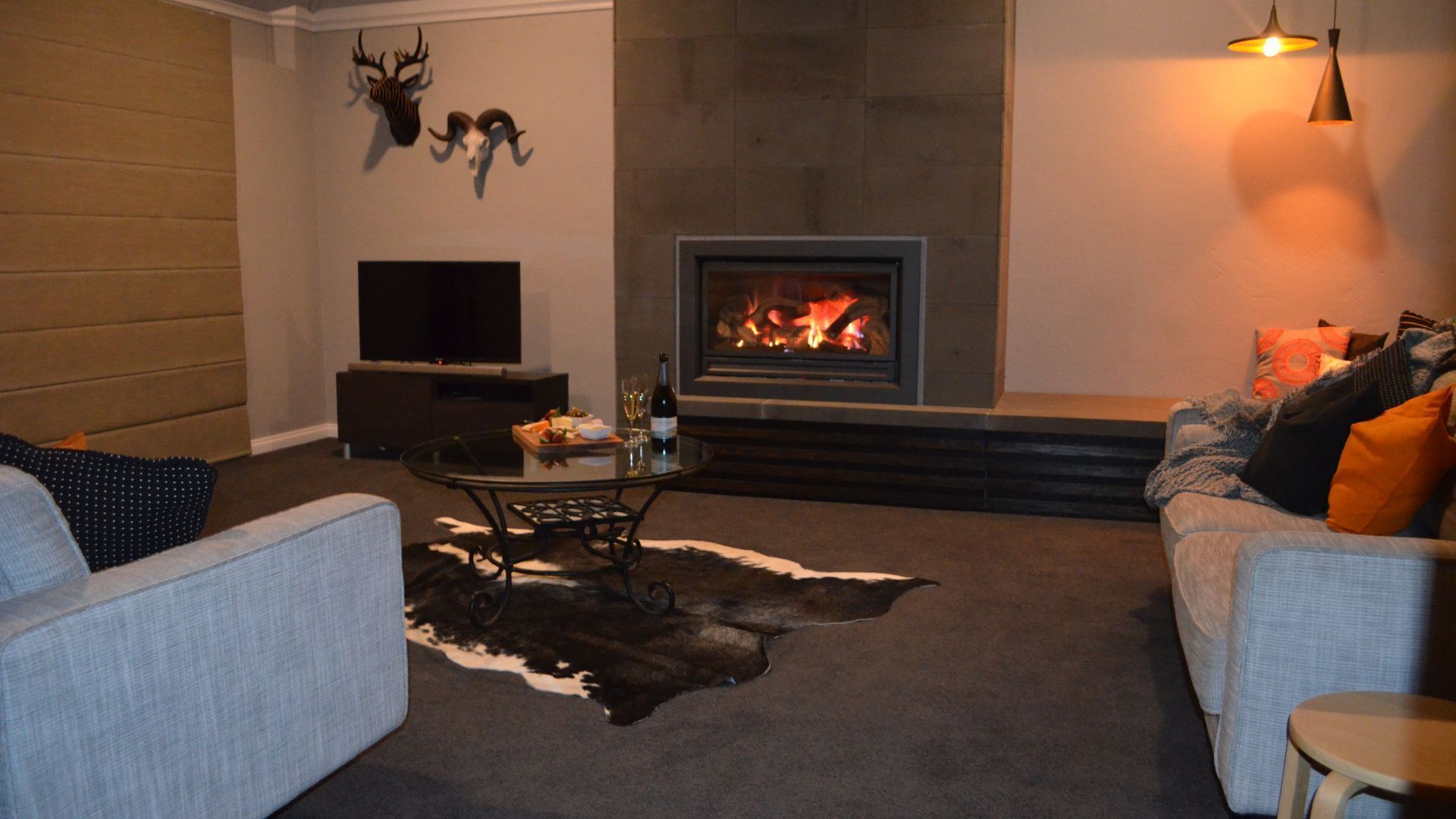 TV, DVD player, books, video library