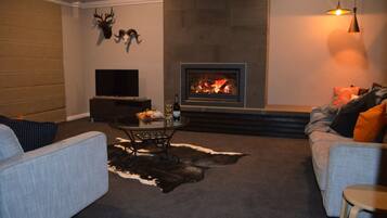 TV, DVD player, books, video library