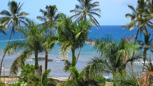 A beach with palm trees and a clear view of the ocean. - Unobstructed ocean view 2Br/2Ba - upscale at a budget price (Kihei)