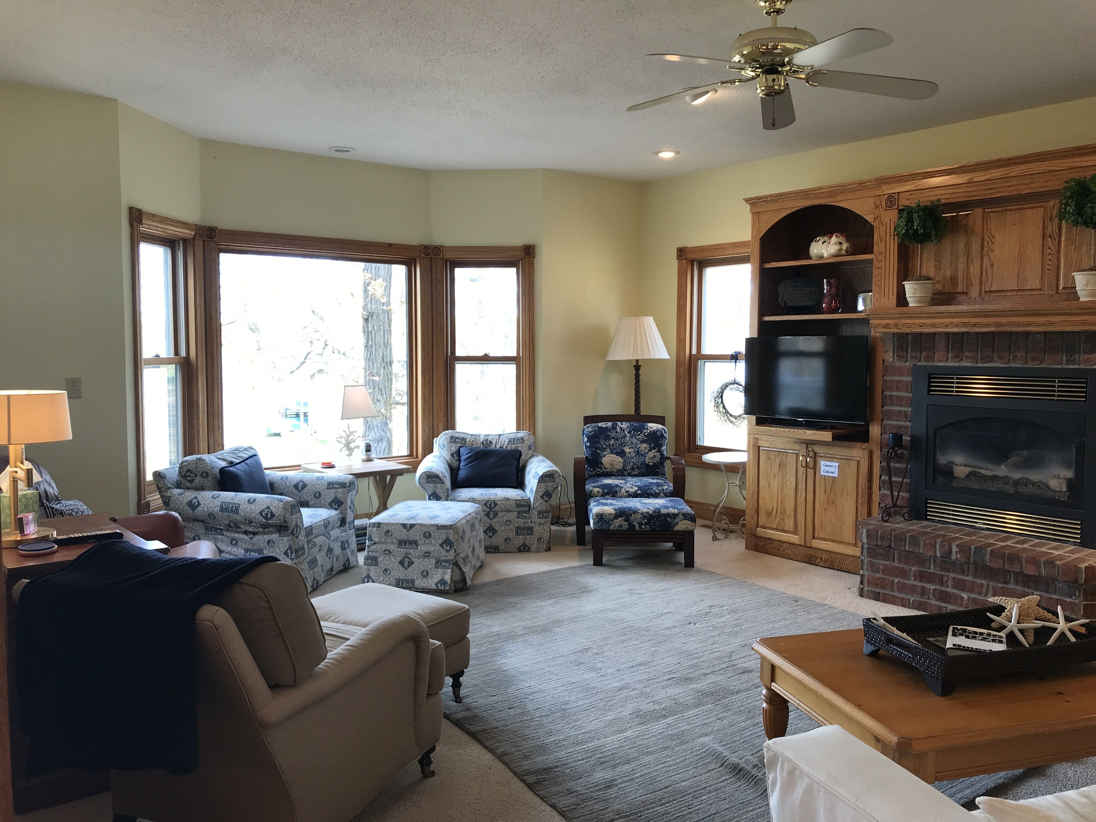 智能電視、壁爐、電子遊戲、DVD 播放機